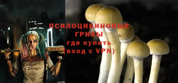 СК Вяземский
